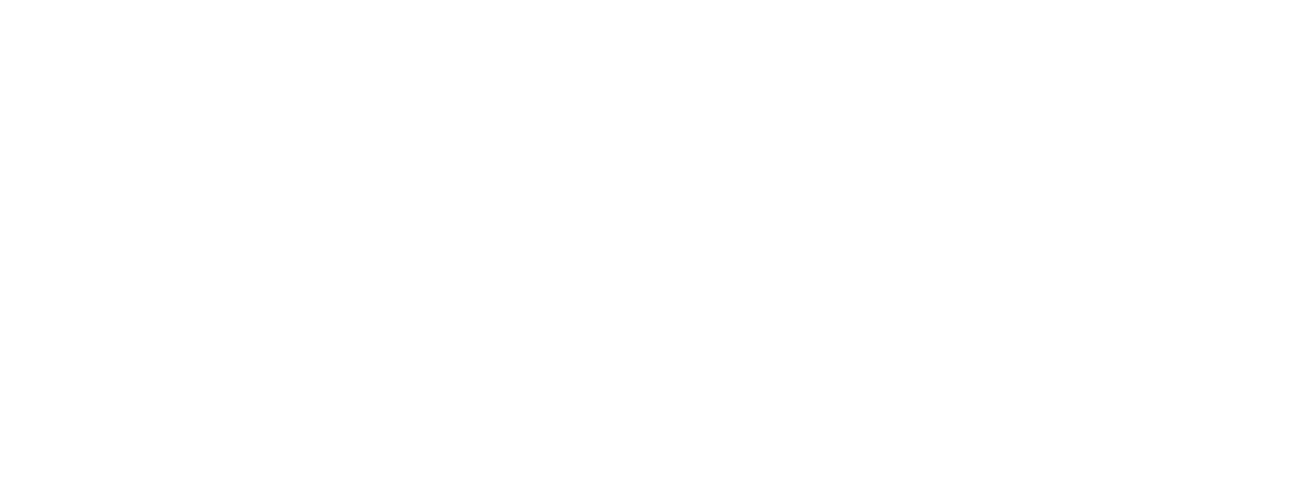 Leadership Circle